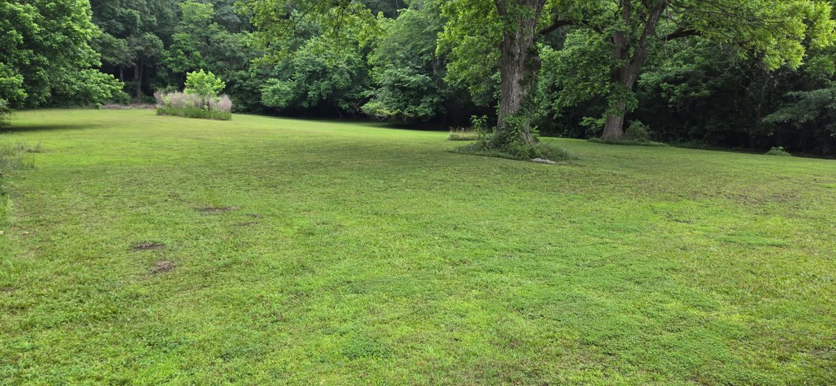 Mowing for Fresh Cut Yard & Lawn Care LLC in Forsyth, GA