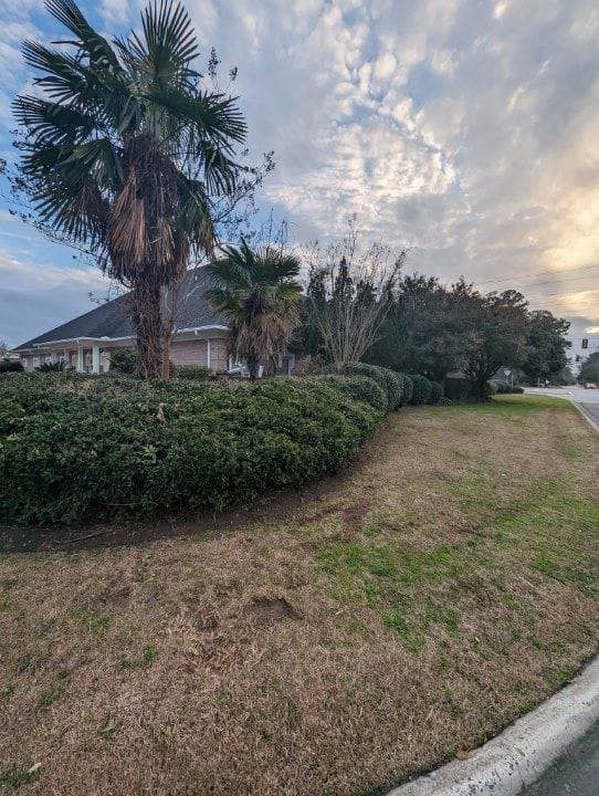 Shrub Trimming for Coastalscapes Landscaping & Turf Management  in Savannah, GA