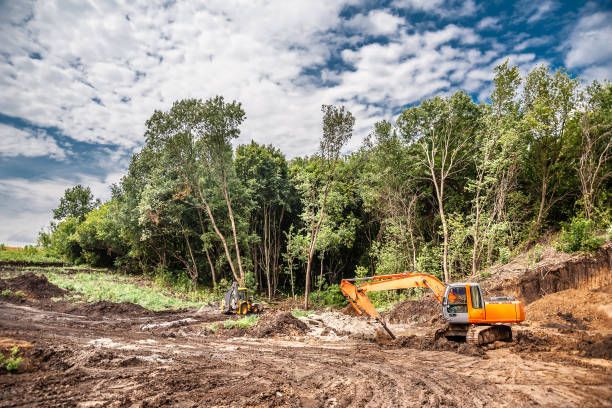 Brush Clearing to a Site for Prestige Landscaping & Lawn Services LLC in Anderson, IN