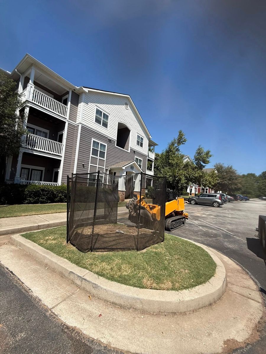 Stump Excavation for Dozier Stump Grinding in Augusta, GA