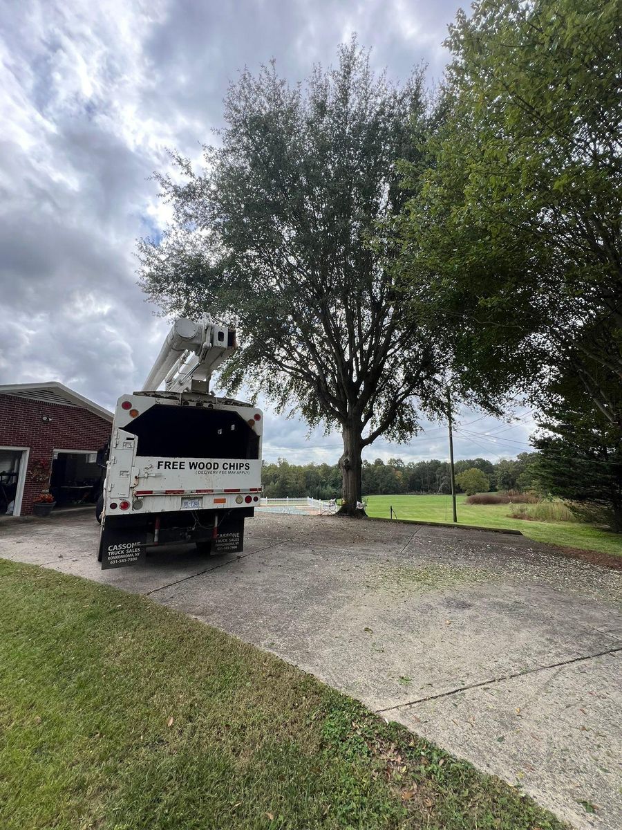 Fall Clean Up for Brooks Tree Service, LLC in Casar, NC