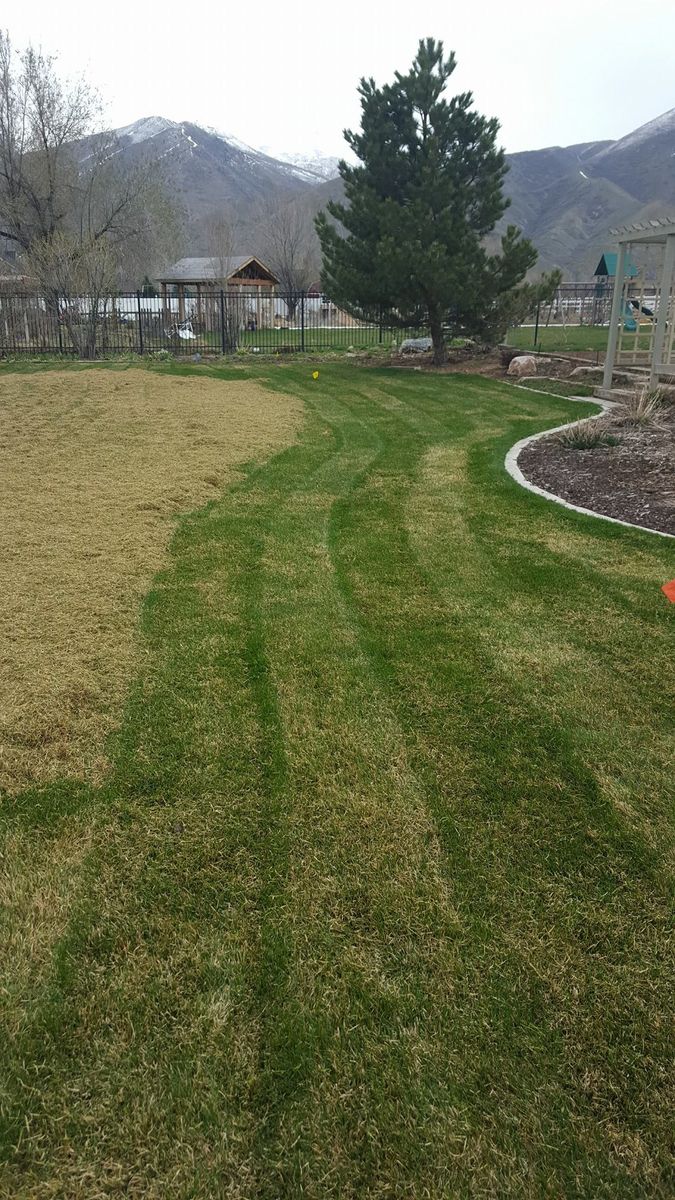 Mowing for Platinum Lawn Service in Santaquin, UT