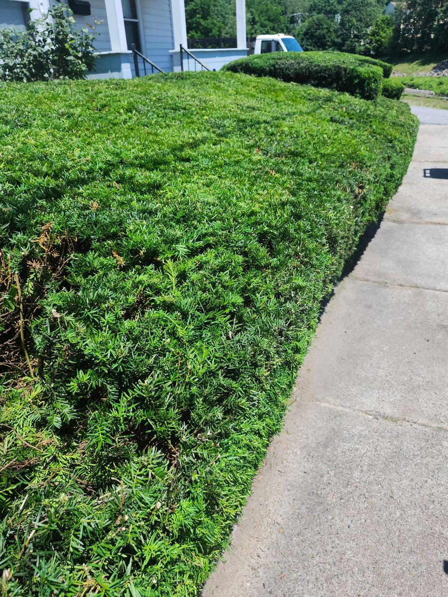 Landscape Installation for Landscape Innovations LLC in Torrington, CT