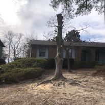Mulch Installation for Shang's Landscaping Service in Columbia, South Carolina
