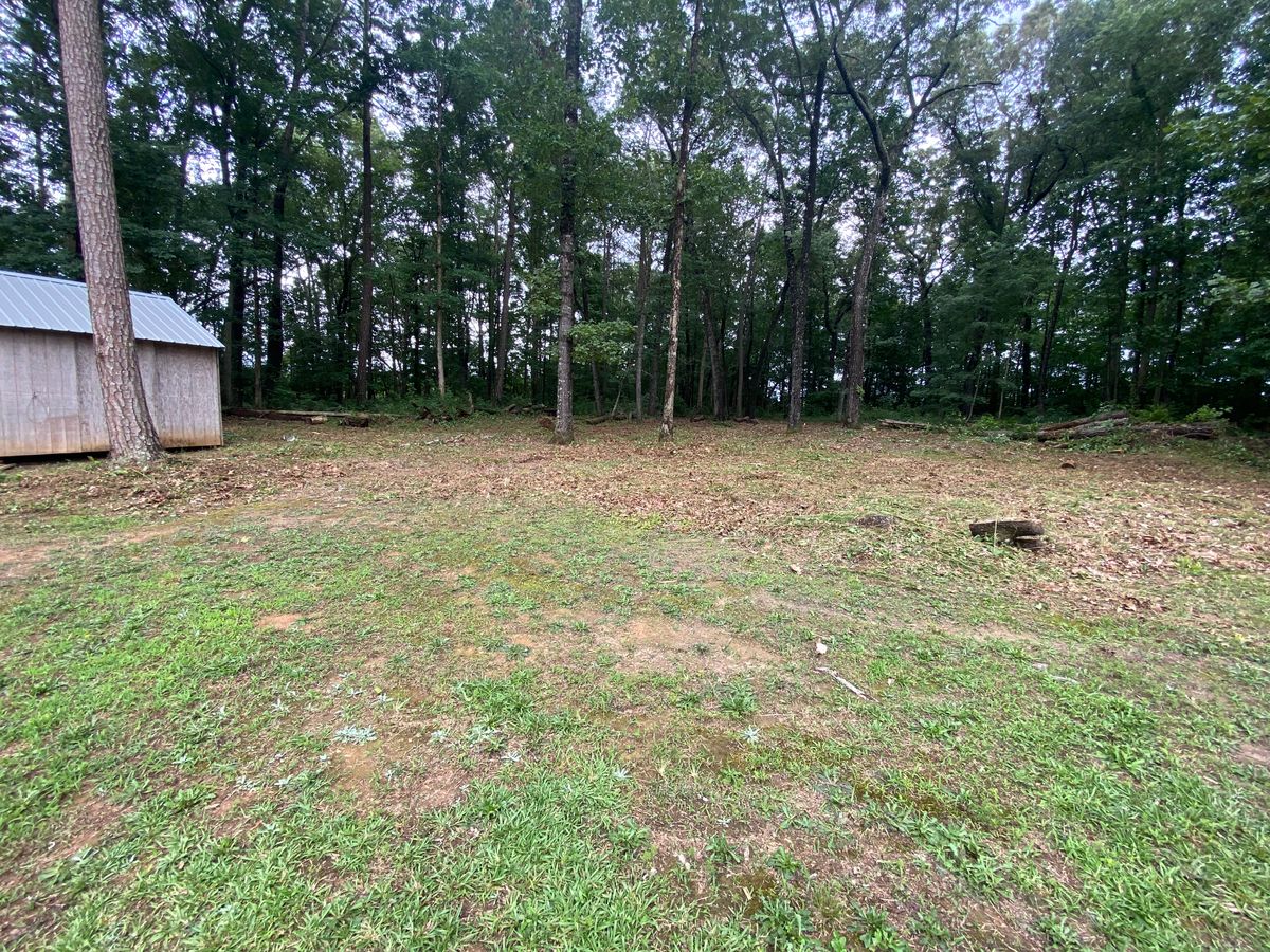 Brush Cutting & Removal for Deeply Rooted Lawn Installations - Sod Installation & Hydroseeding Services in Winder, GA