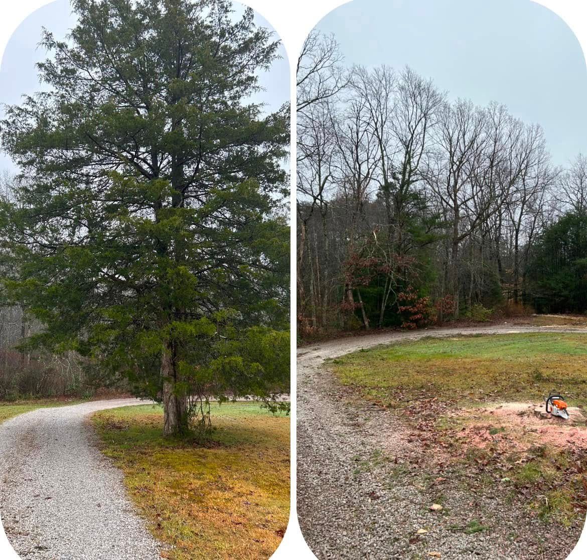 Stump Removal for McBee’s Tree Service in Sewanee, TN