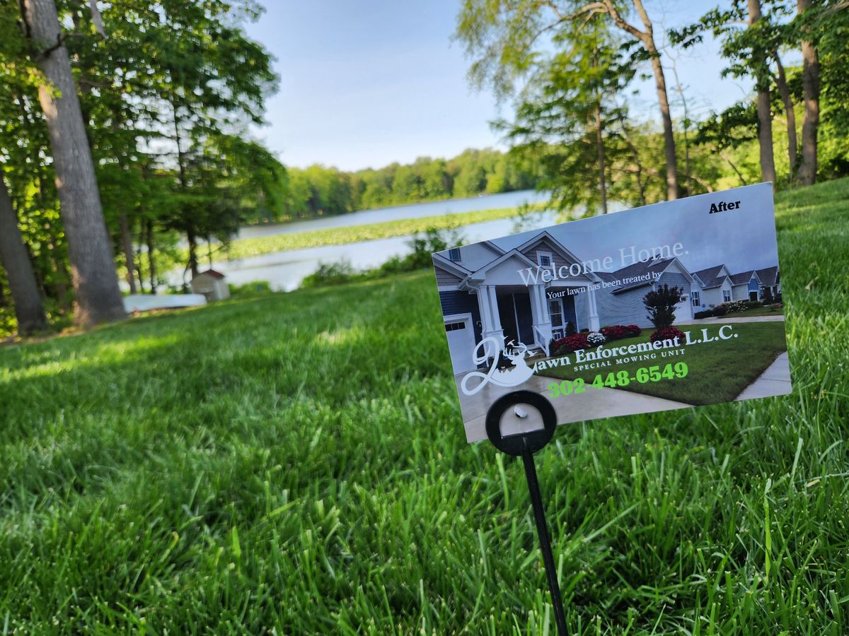 Turf Nutrition ☘️🚫 for Solid Ground Outdoor Living Solutions in Seaford, DE