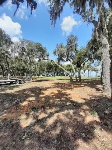 Stump Removal for A-1 Arbor Tech in Groveland, FL
