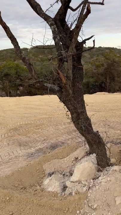 Forestry Mulching for KO Excavation LLC in Spring Branch, TX