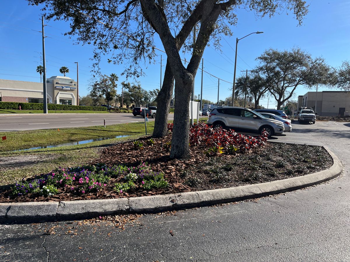 Landscape Design and Installation for Verimay's Garden and Landscaping in Hillsborough County, FL