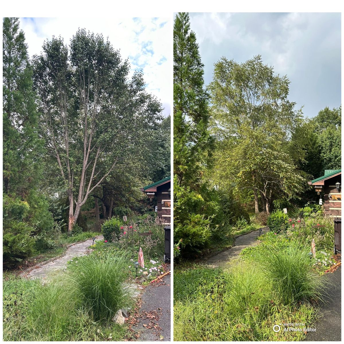 Tree Trimming for Gatrell Landscape & Tree Removal in Bluff City, TN