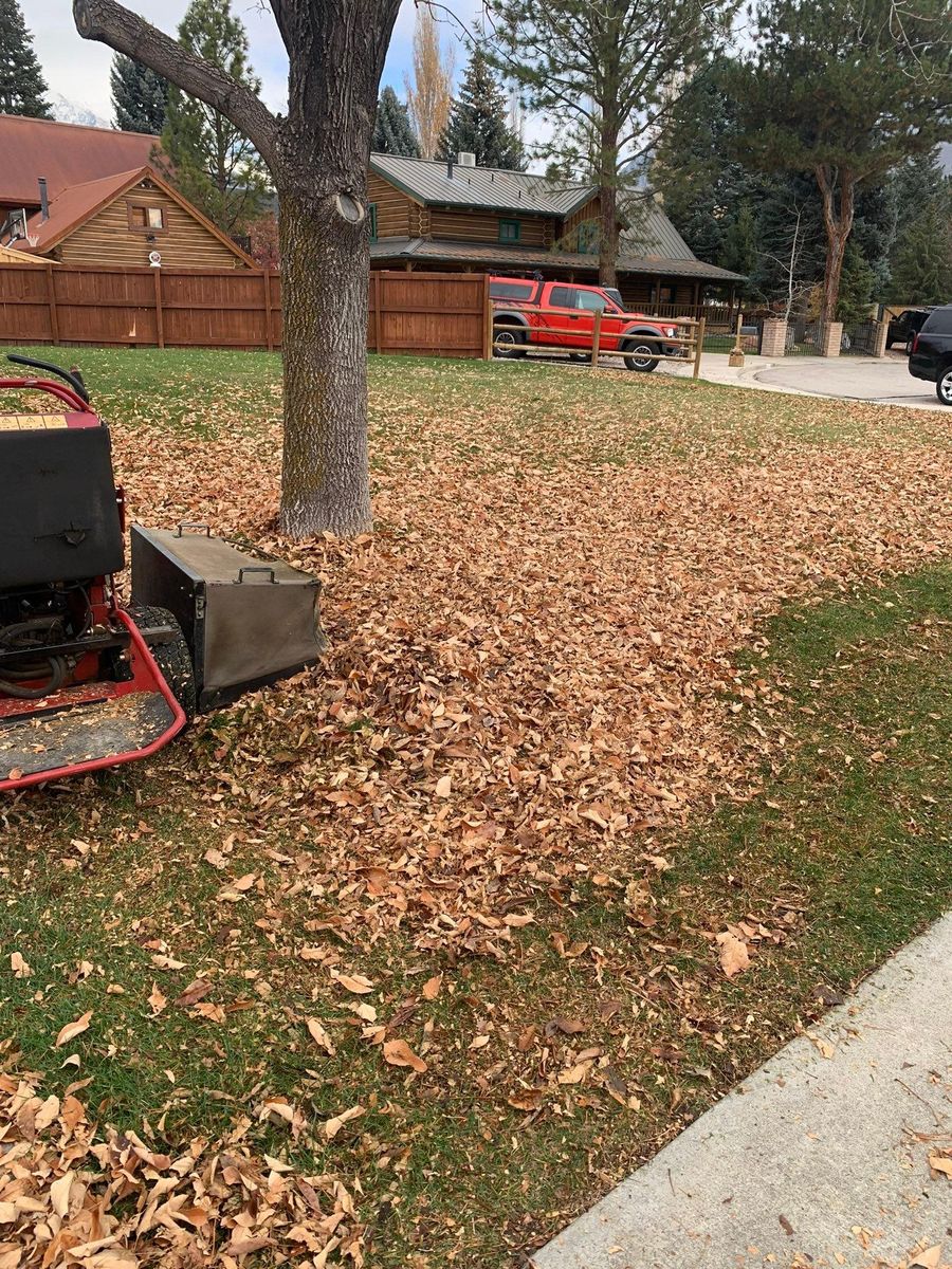 Fall Clean Up for Platinum Lawn Service in Santaquin, UT