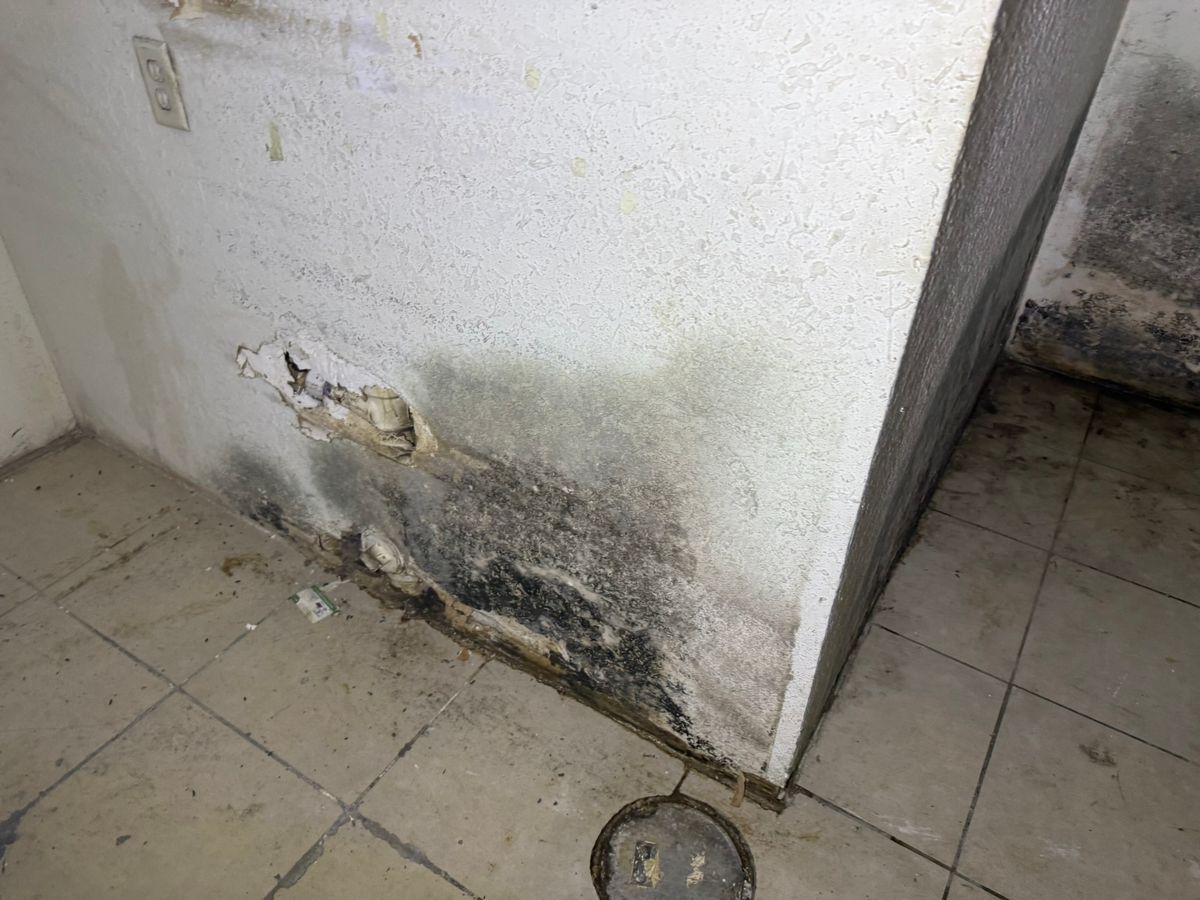 All Services for Surplus Public Adjusters in Miami-Dade County, FL