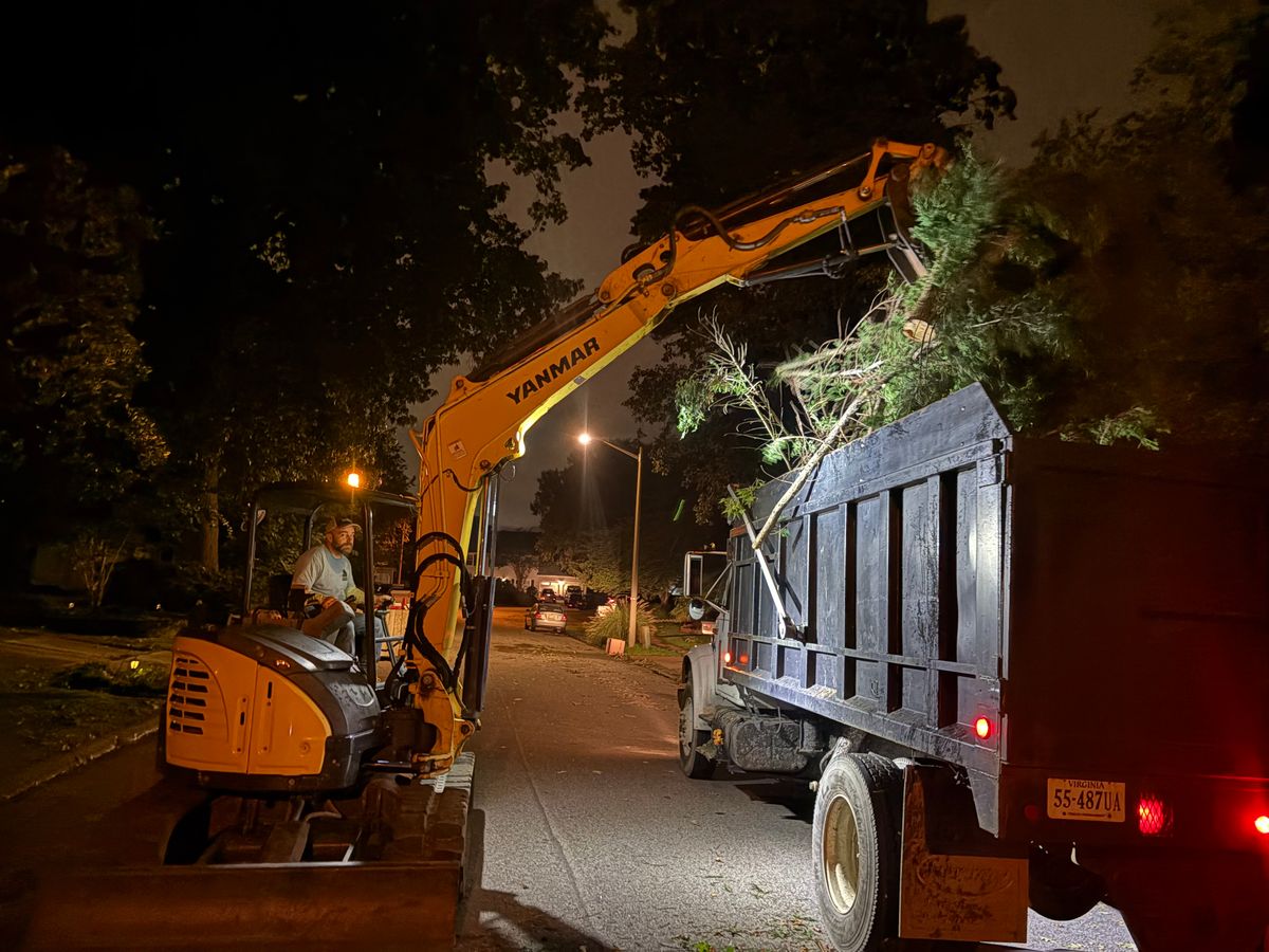 24 Hour Emergency Tree Removal for Tidewater Tree Service in Chesapeake, VA