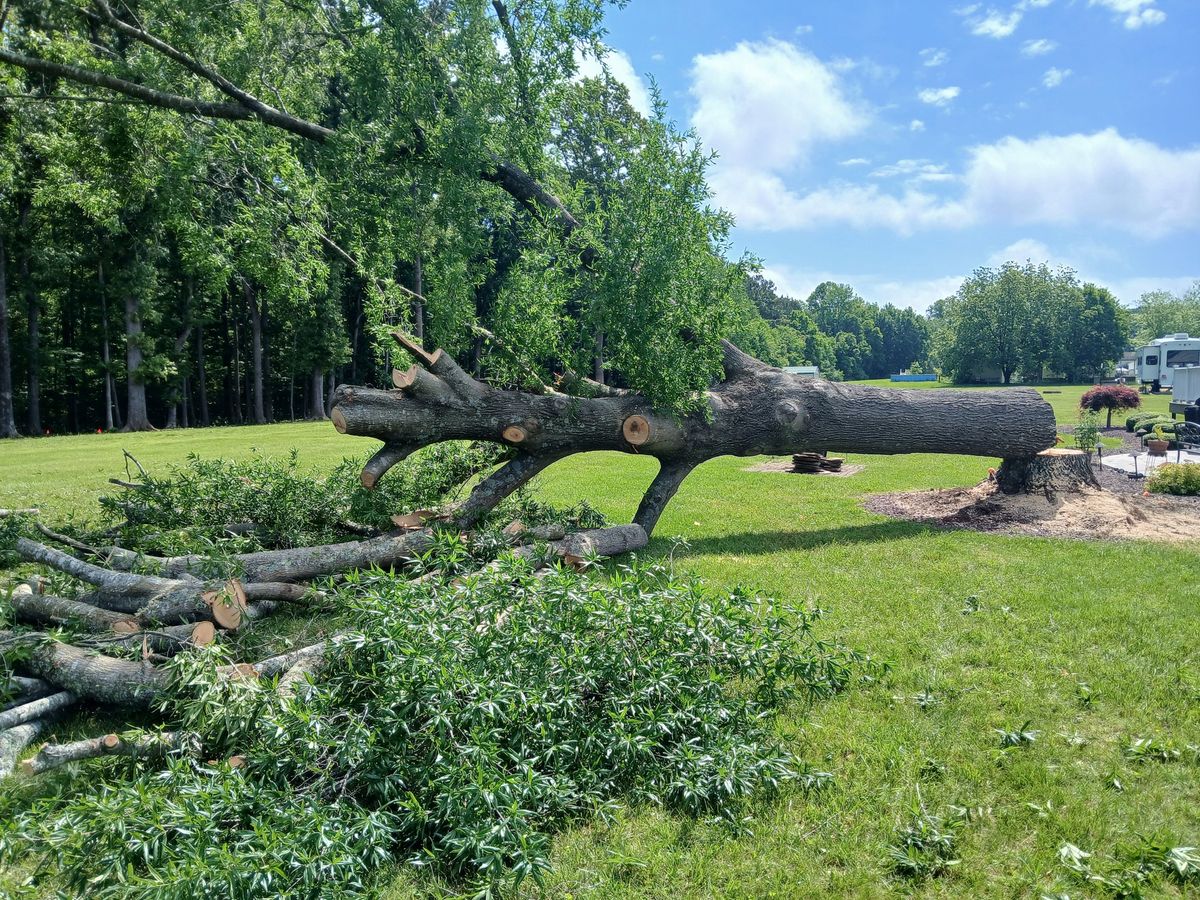 Site Preparation for Whiskey Ridge Mulching & Land Services in South Boston, VA