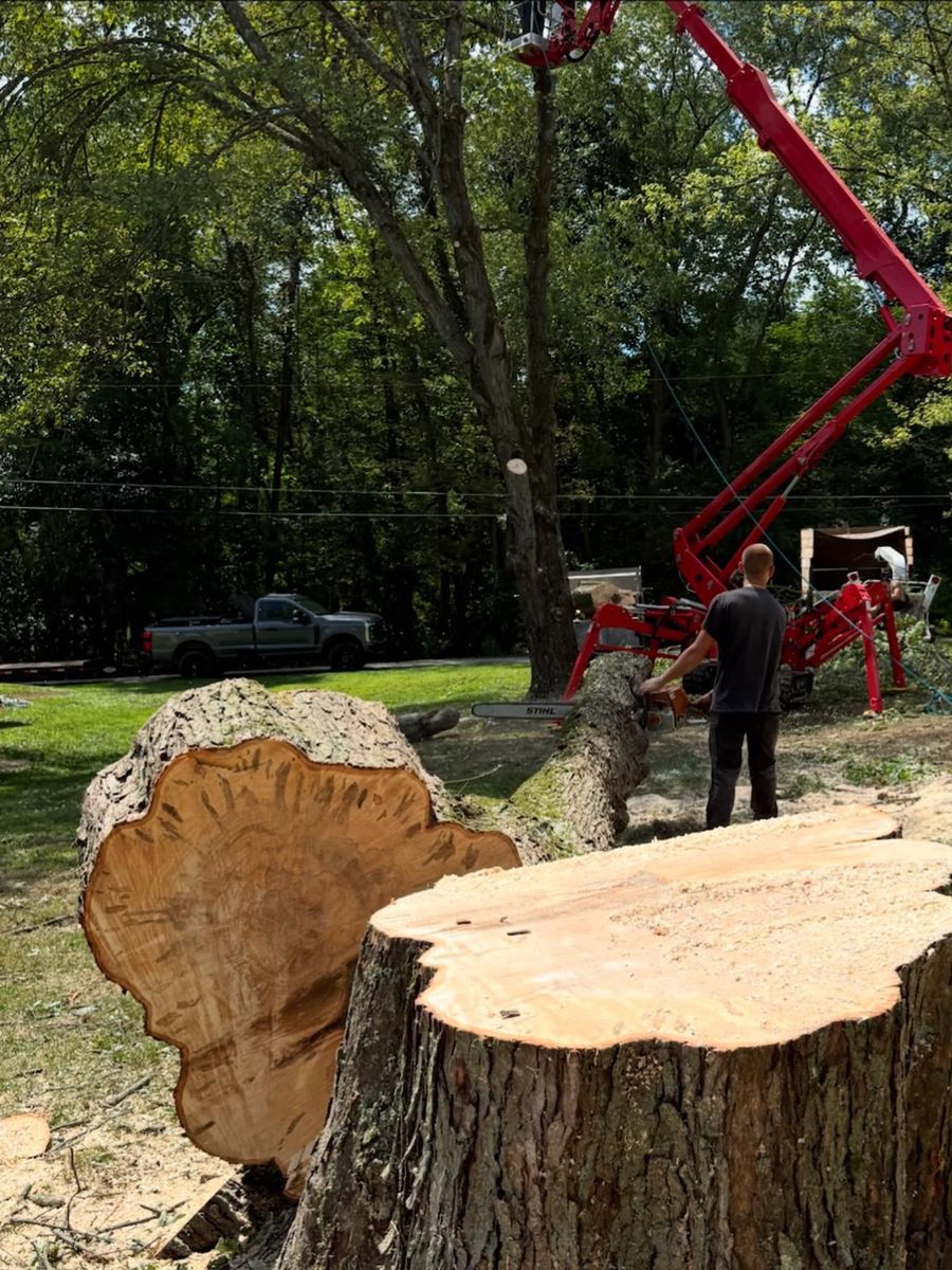 Tree Removal for Mark's Multiple Landscaping in Pittsburgh, PA