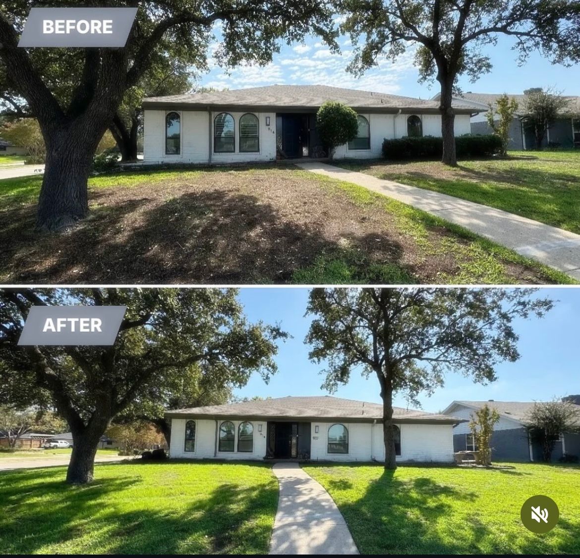 Winter green lawn package for North Texas Groundscaping in Frisco, TX