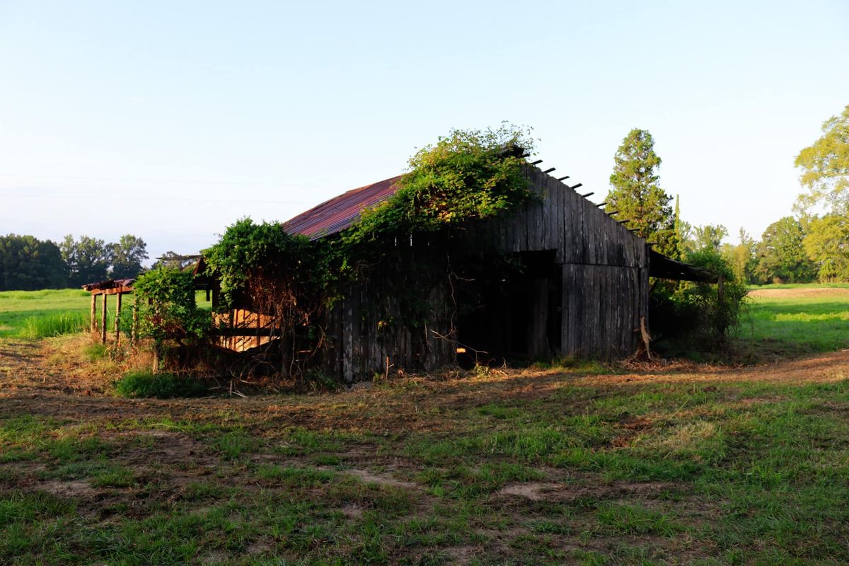 Demolition for Mud Creek Vegetation Management in Russellville, AL