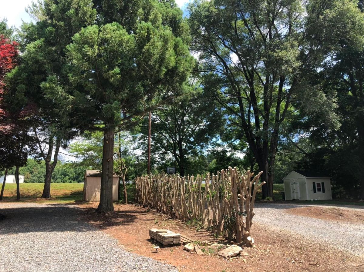 Tree Trimming for El Perico Tree Service and Lawn Care, LLC in Boonville, North Carolina