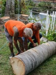 Other Services for ASAP Tree Service in Sebastian, FL
