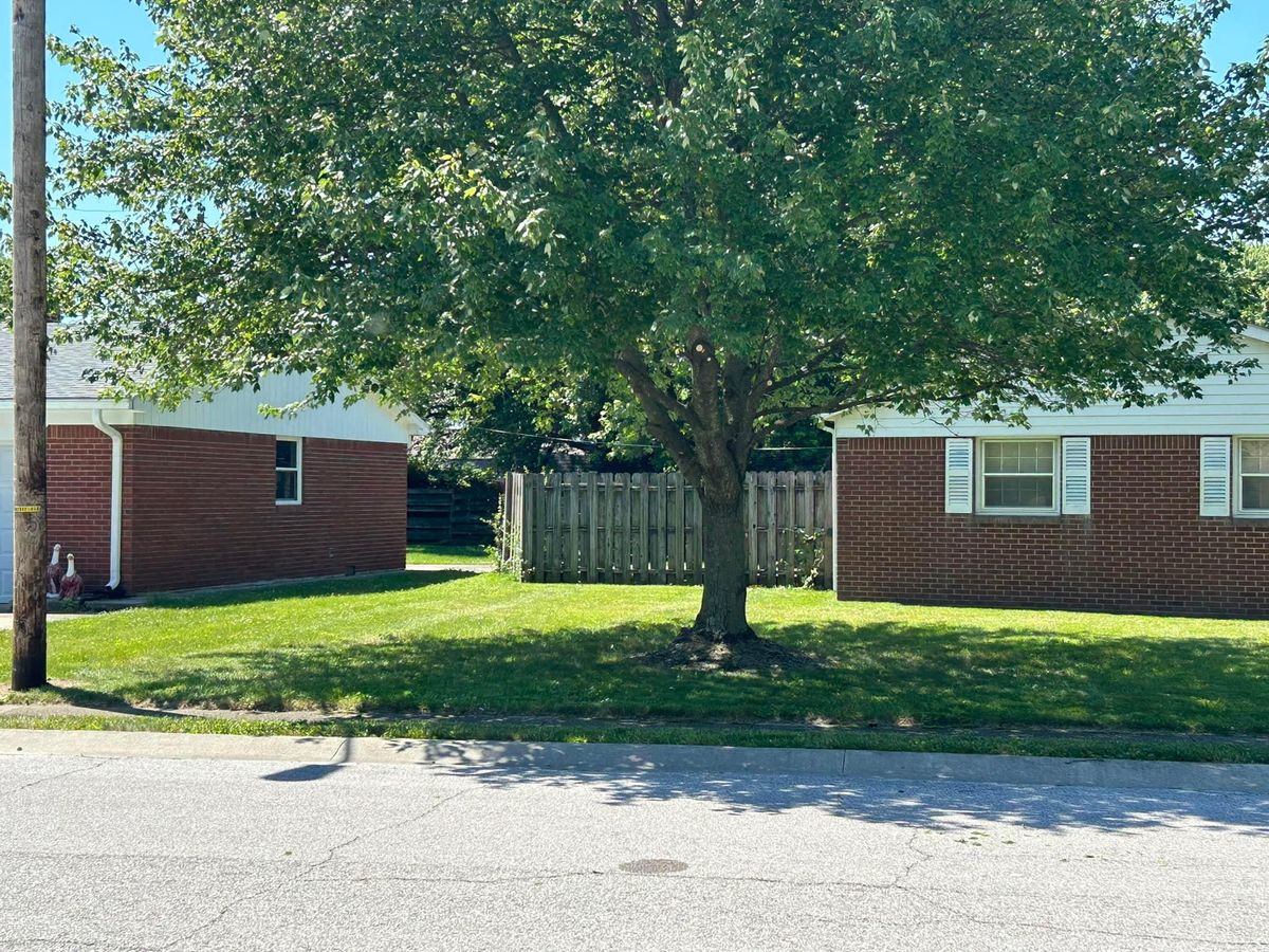 Tree Trimming for Bearforce Lawn Care LLC in Greenfield, IN