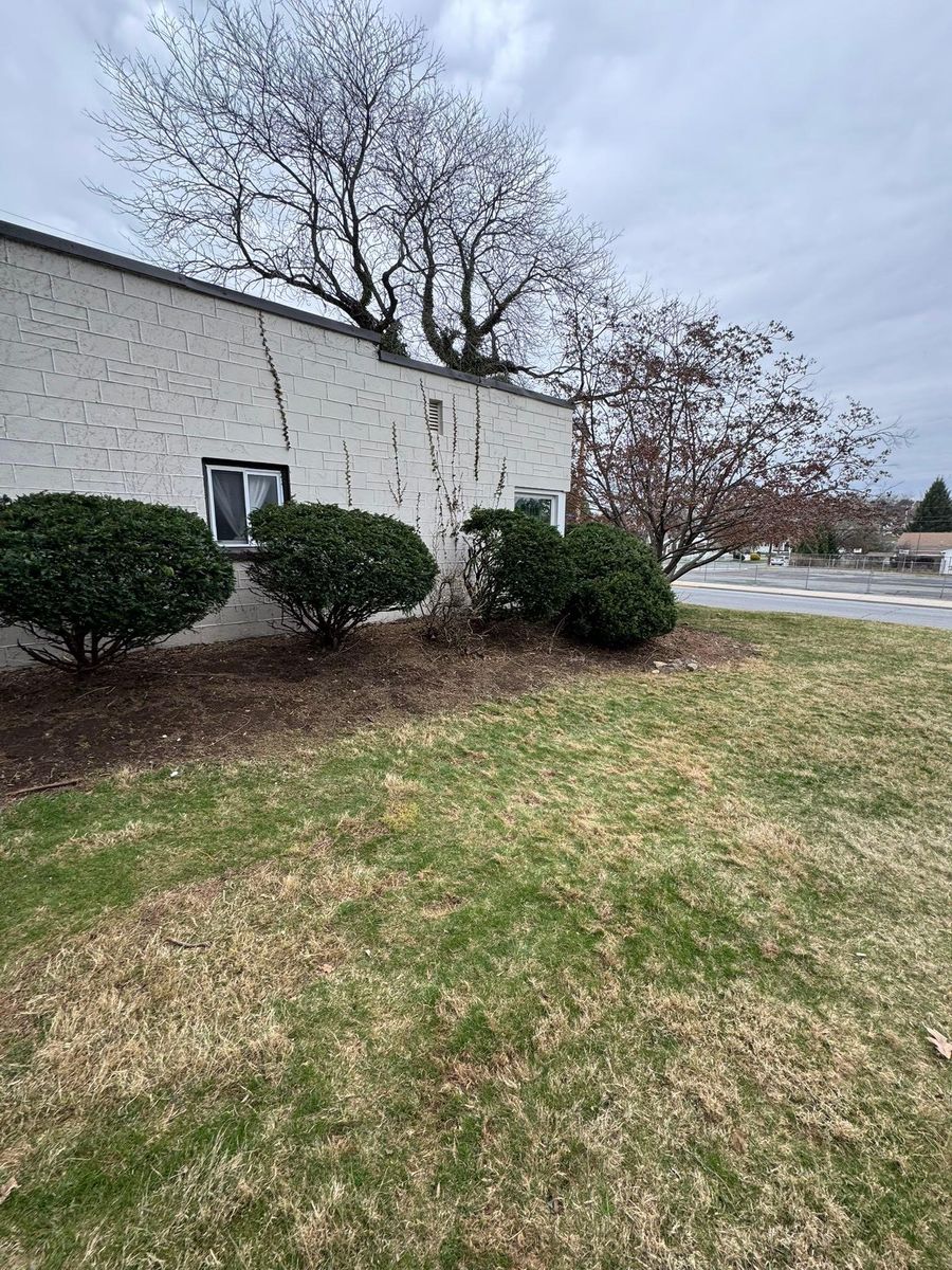 Seasonal Clean Up for Landscape & Lawn Care Pros in Temple, PA