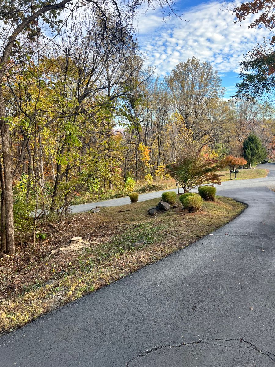 Fall Clean Up for Valencia’s Lawncare in Charlottesville, VA