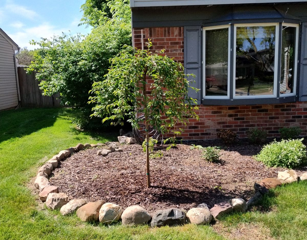 Landscape Installation for Humphries Hardscape - Pavers and Landscaping in Wyandotte, MI