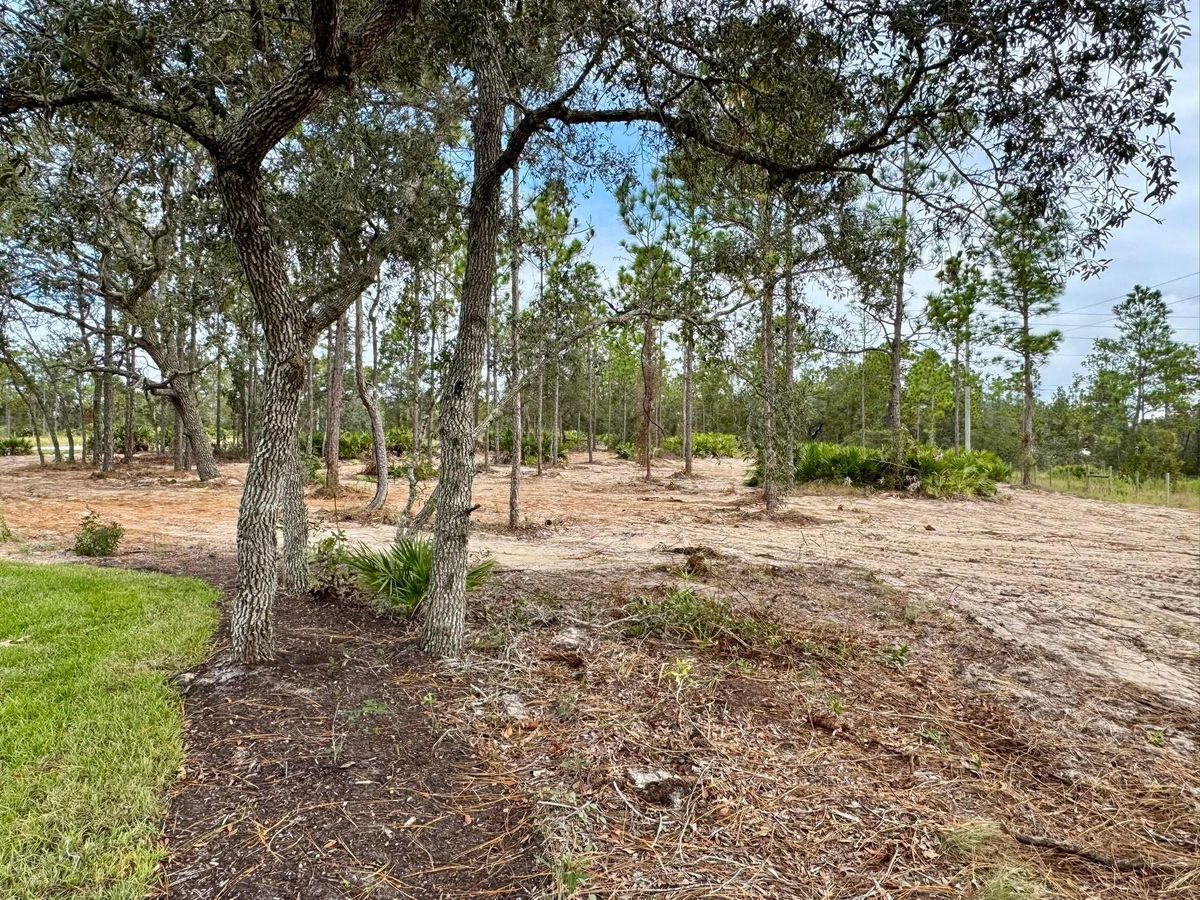 Site Preparation for All American Excavating Inc in Brooksville,  FL
