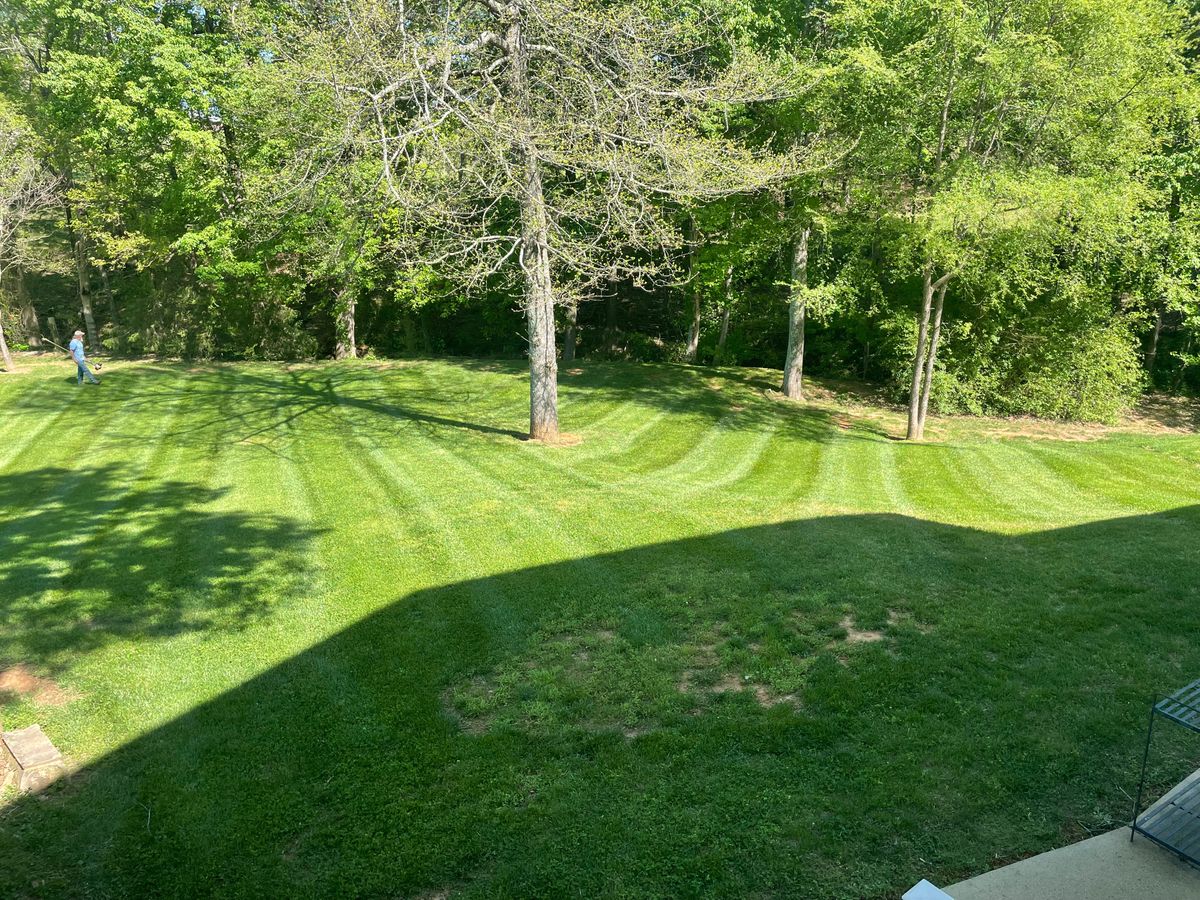 Lawn Maintenance for Palmetto State Landscaping in Gaffney, SC