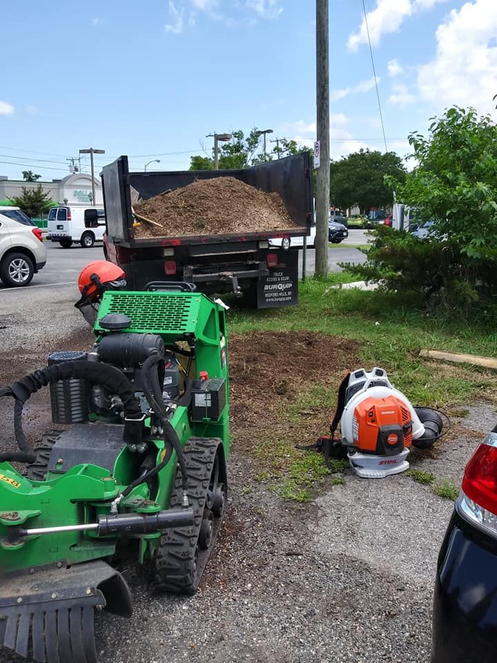 Stump Removal for Beach Tree Care in Virginia Beach, VA