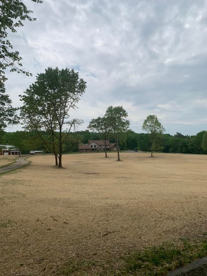 Land Clearing for Penn Top Property Services in Lake Meade, PA