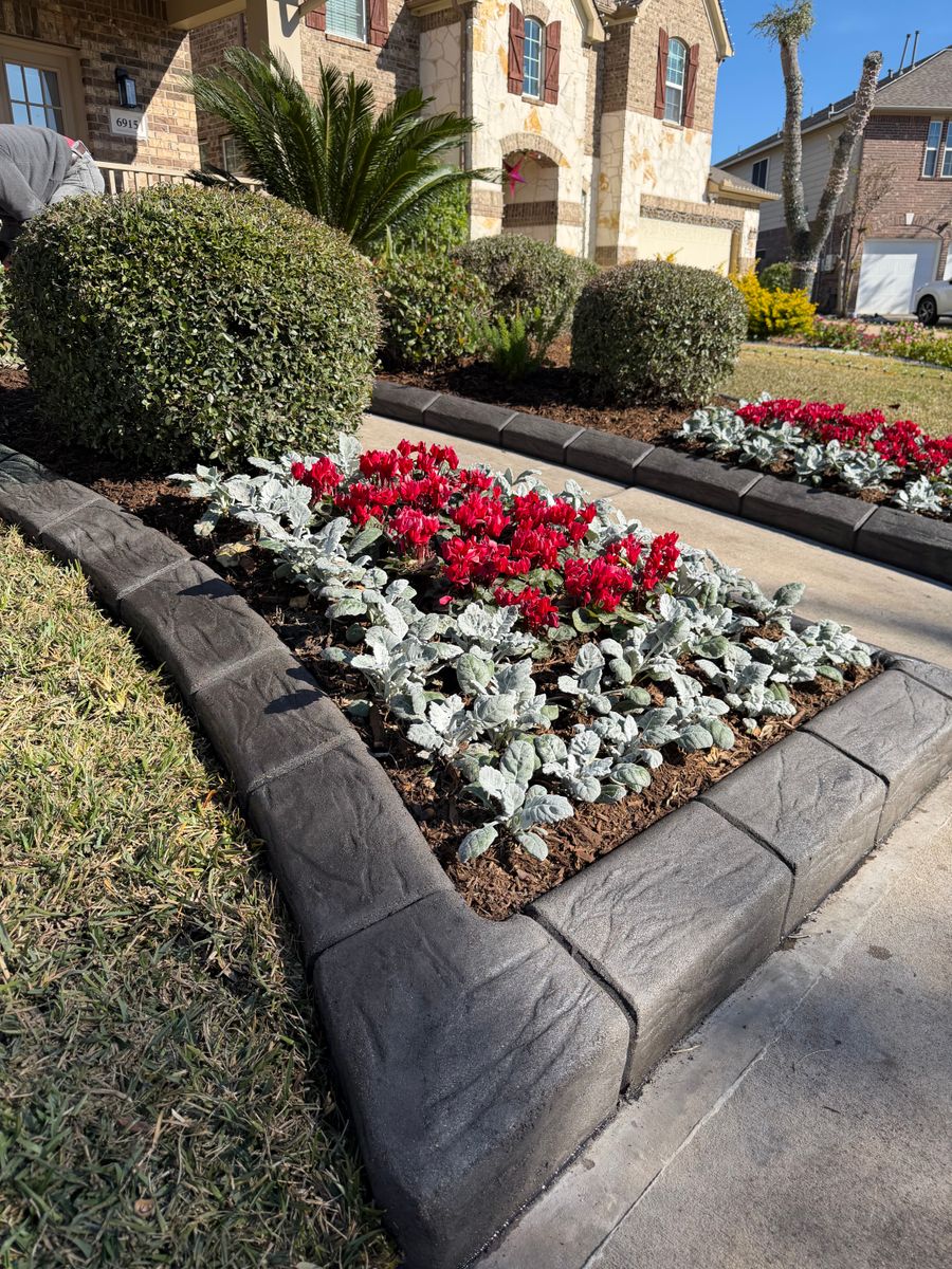 Landscaping for Texas Curb N Borders in Houston, TX