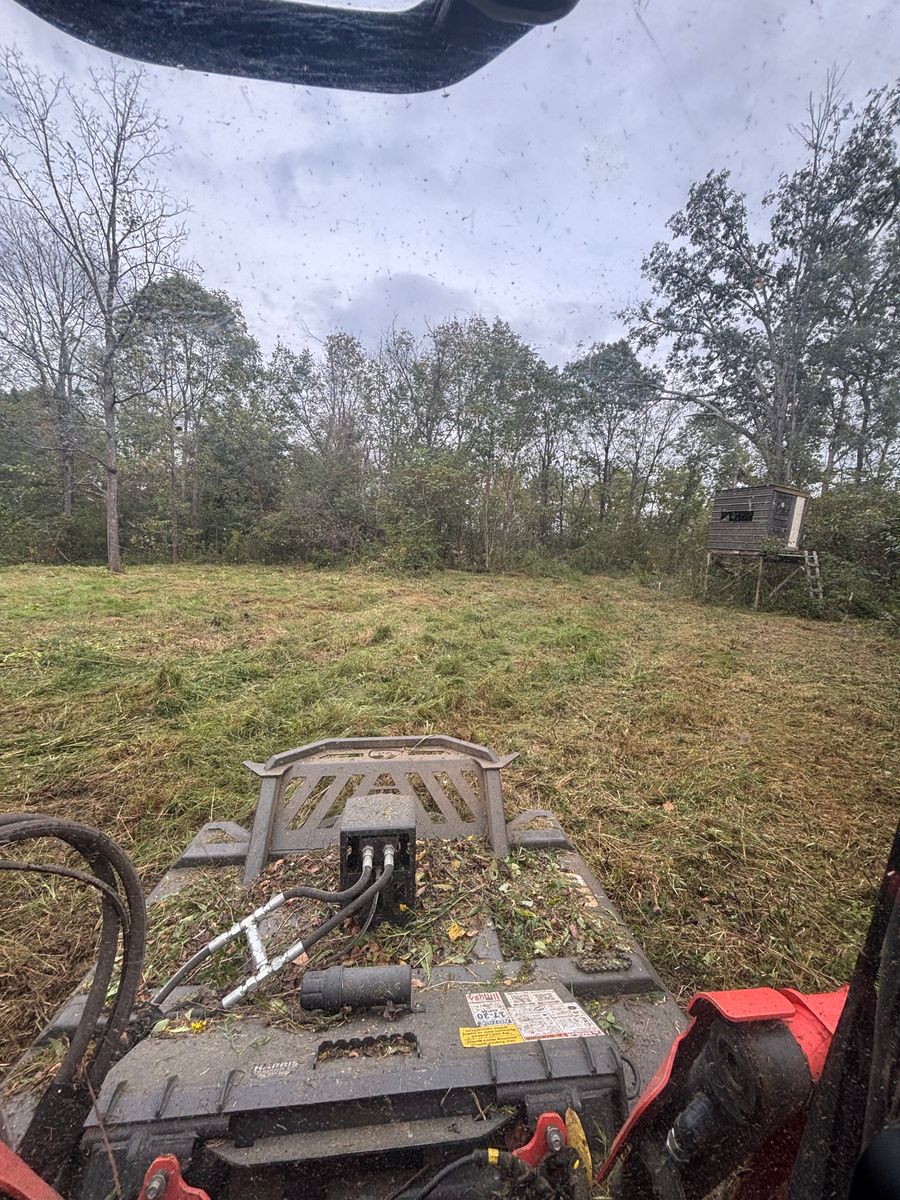 Land Clearing for Gregory Grass and Lawn in Lafayette, TN