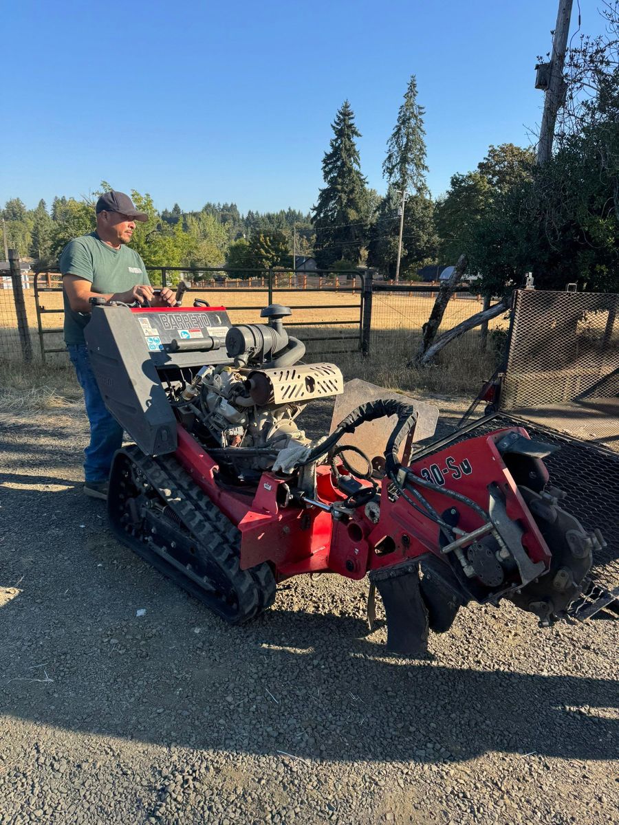 Tree Removals for Willamette Landscaping and Tree Services in Albany, OR