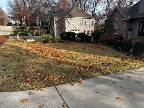 Fall Leaf Cleanup & Removal for Pureleaf Lawncare LLC in Springdale, AR