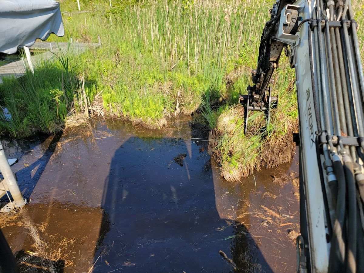 Marine Barge Land Clearing for JB WORX in Angola,, IN