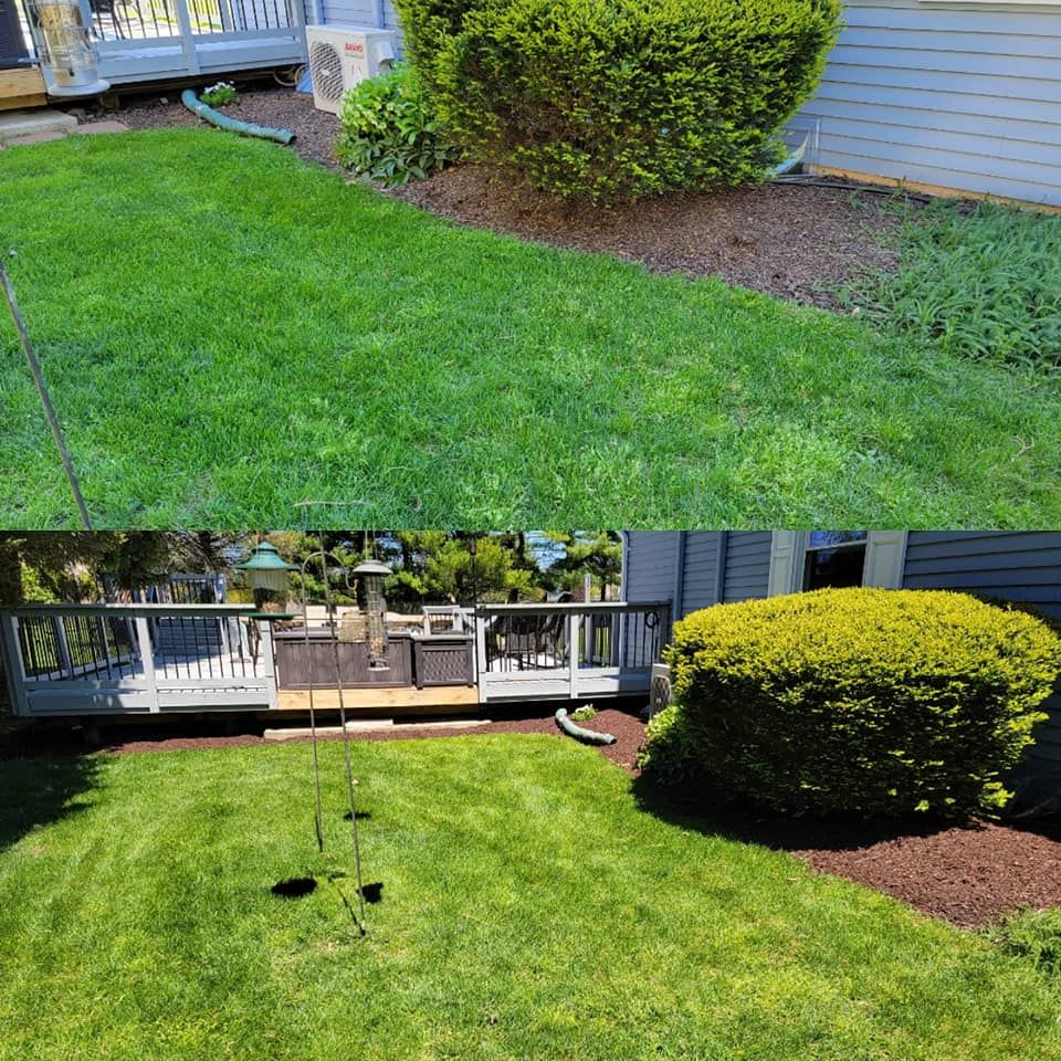 Shrub Trimming for Trippin A-Lawn in Bethlehem, PA