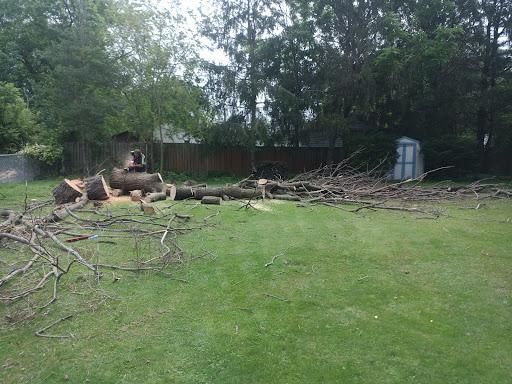 Junk Removal for Hendricks Mowing in Amherst, OH