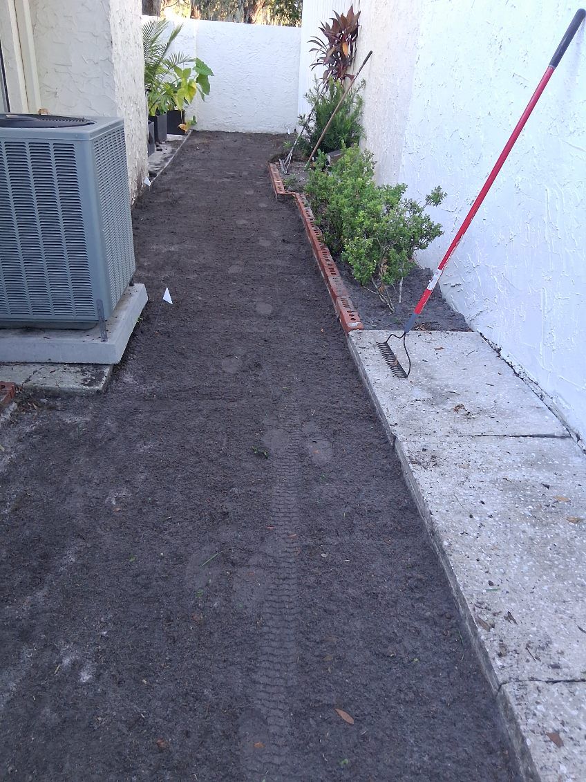 Landscape Design for Gulf Bay Sod in Clearwater, FL