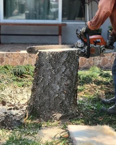 Stump Removal for Maya Tree Service in La Puente, CA
