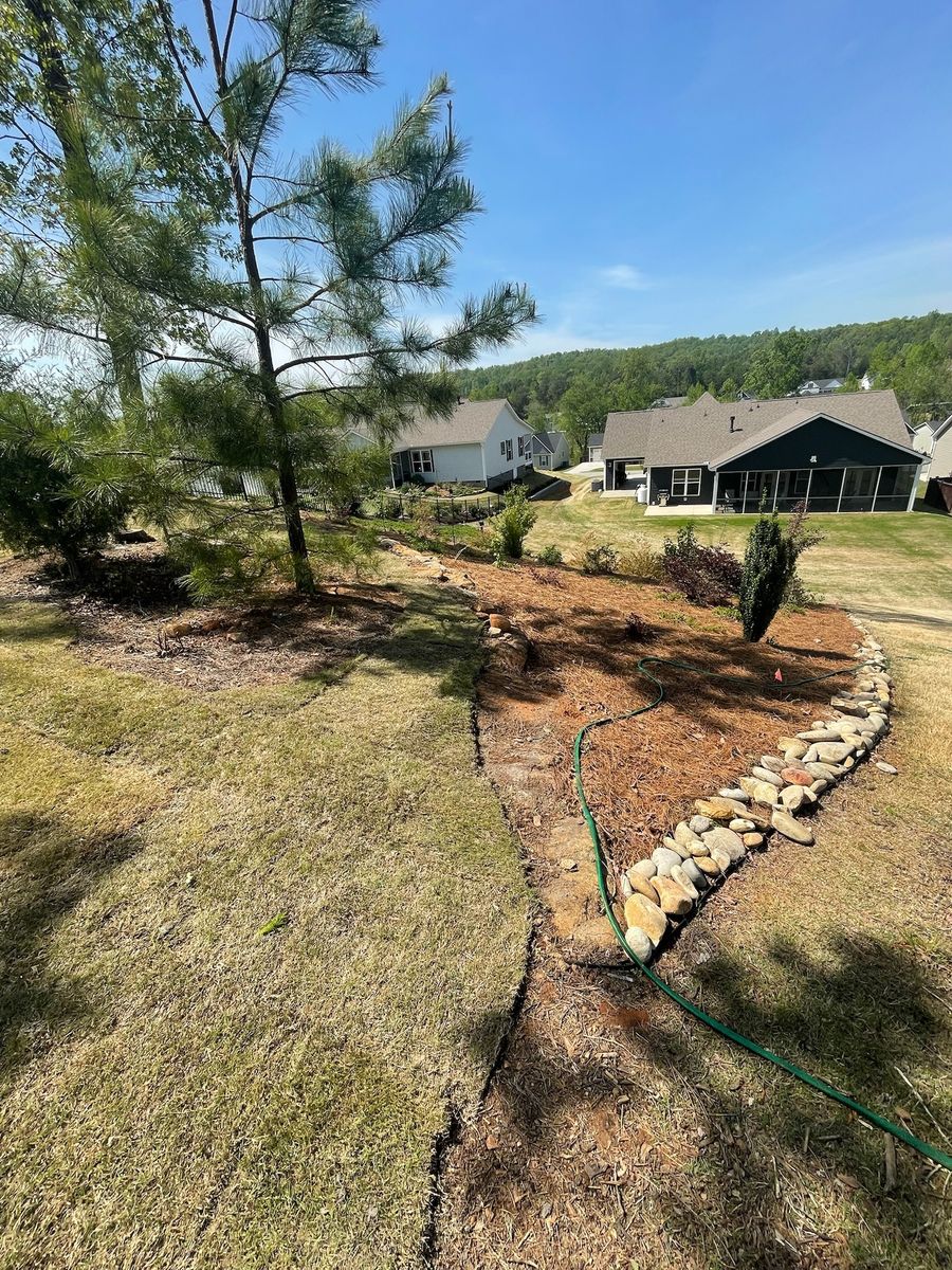 Tree Maintenance for Down To Earth Tree and Landscaping in Greenville, SC