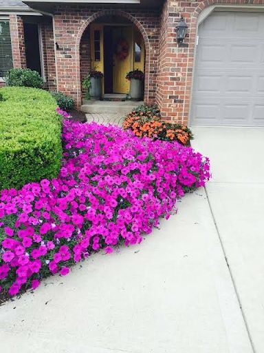 Landscaping for Sanchez Z. Landscaping in Memphis, TN