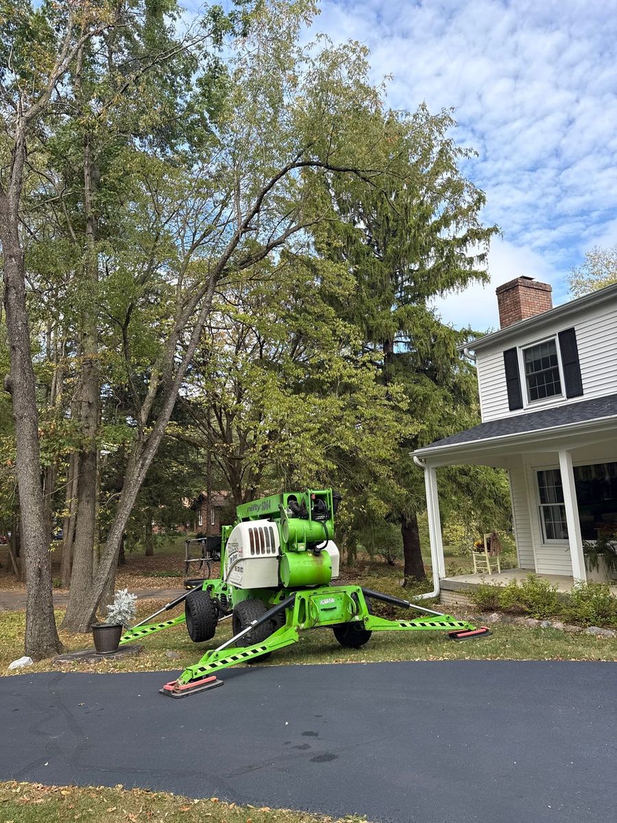 Fall Clean Up for Fransen's Tree Service  in Freeport, IL