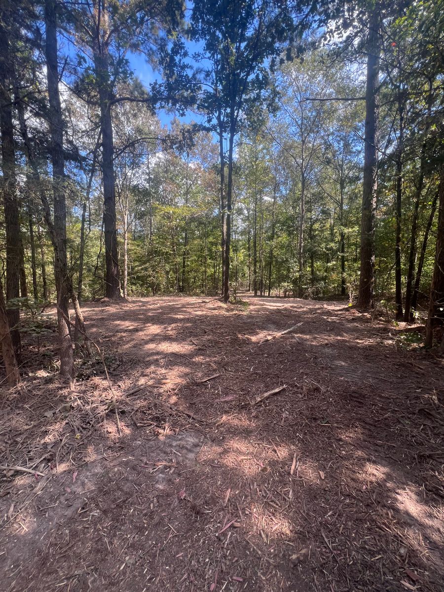 Forestry Mulching for 903 Mulching in East Mountain, TX