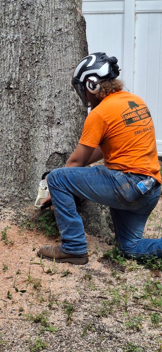 Tree Removal for Daniel Hickey’s Tree Service in DeLand, FL
