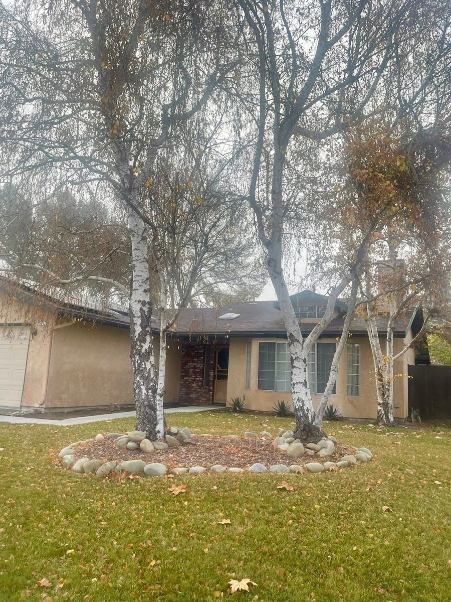 Fall Clean Up for A1 Junk & Tree Solutions, LLC in Paso Robles, CA