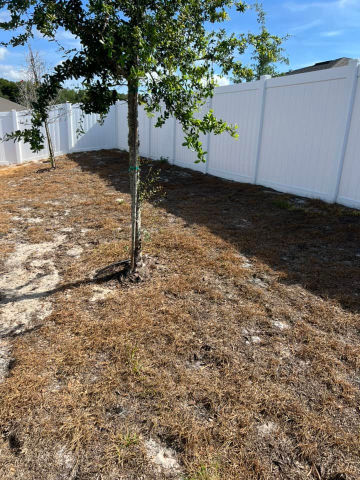 Tree Trimming for R.B. & Company in Belleview, FL