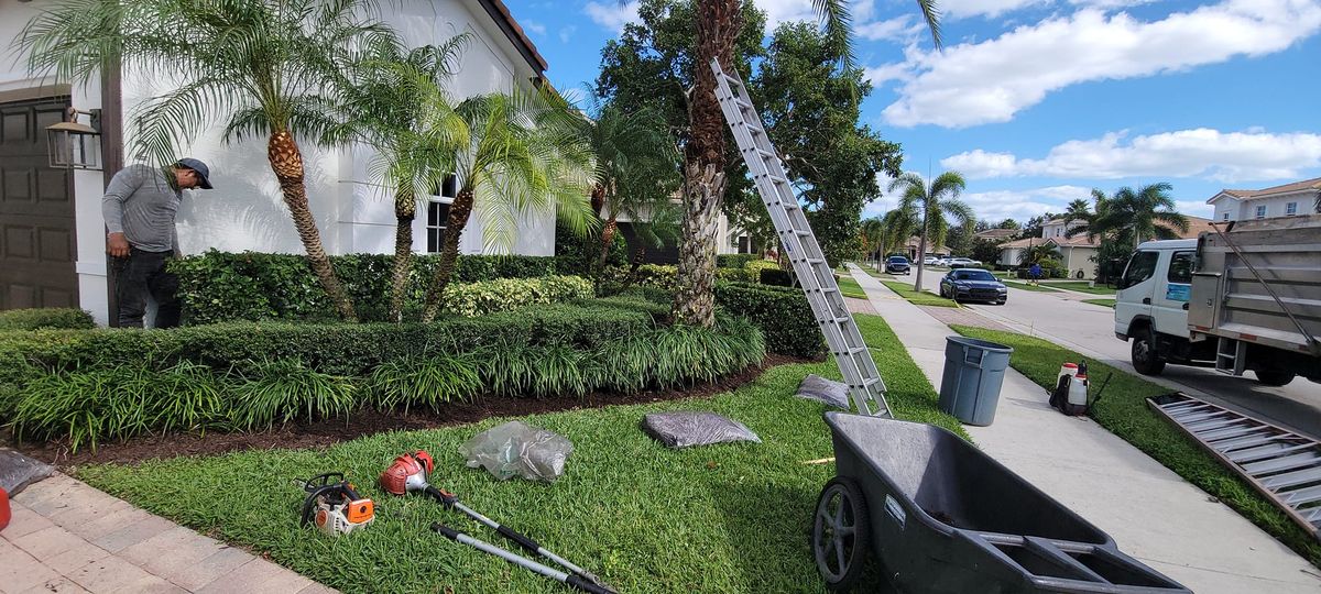 Landscape for L & J Palm Tree & Lawn Care Services in Jupiter, FL
