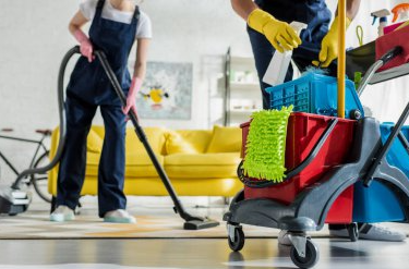 House Cleanouts (foreclosures or rentals) for O'Donnell Tree and Handyman Services in Pine Ridge, FL